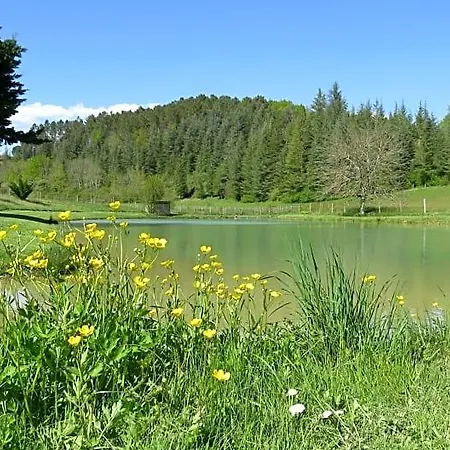 Oda ve Kahvaltı Le Jardin Des Paons Issac